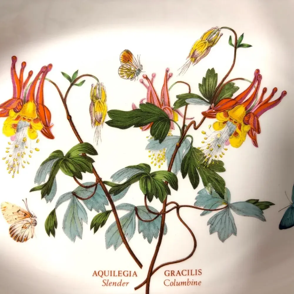 Portmeirion Botanic Garden Oval Baking Dish Aquilegia Slender Gracilis Columbine
